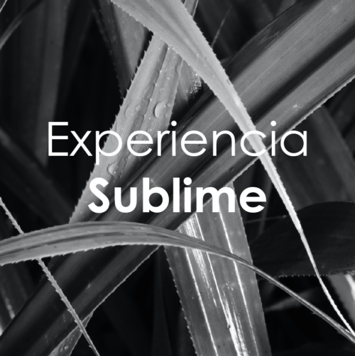 Experiencia Sublime-UNIBELLEZA